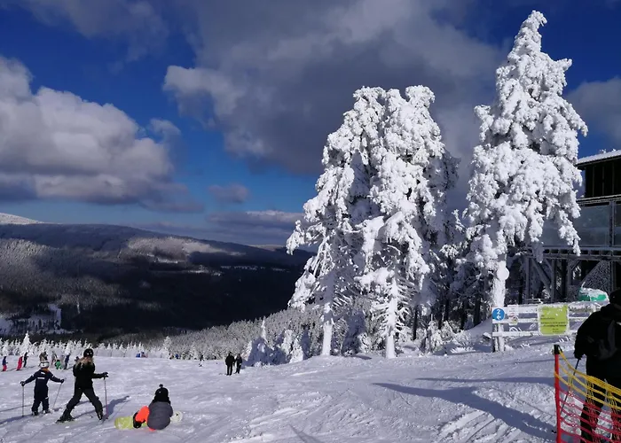 Hexentanz * Hohegeiss